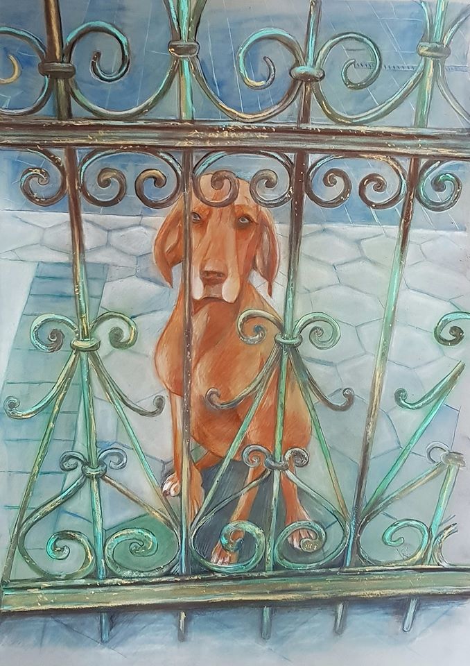 Zu Besuch bei Paula, alter Jagdhund hinter Schmiedeeisenzaun, Zeichnung