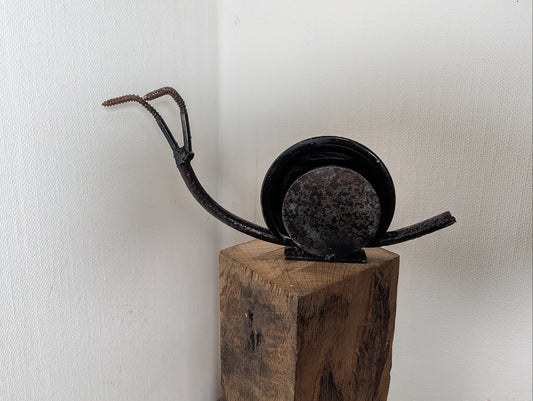 Candleschnecke
