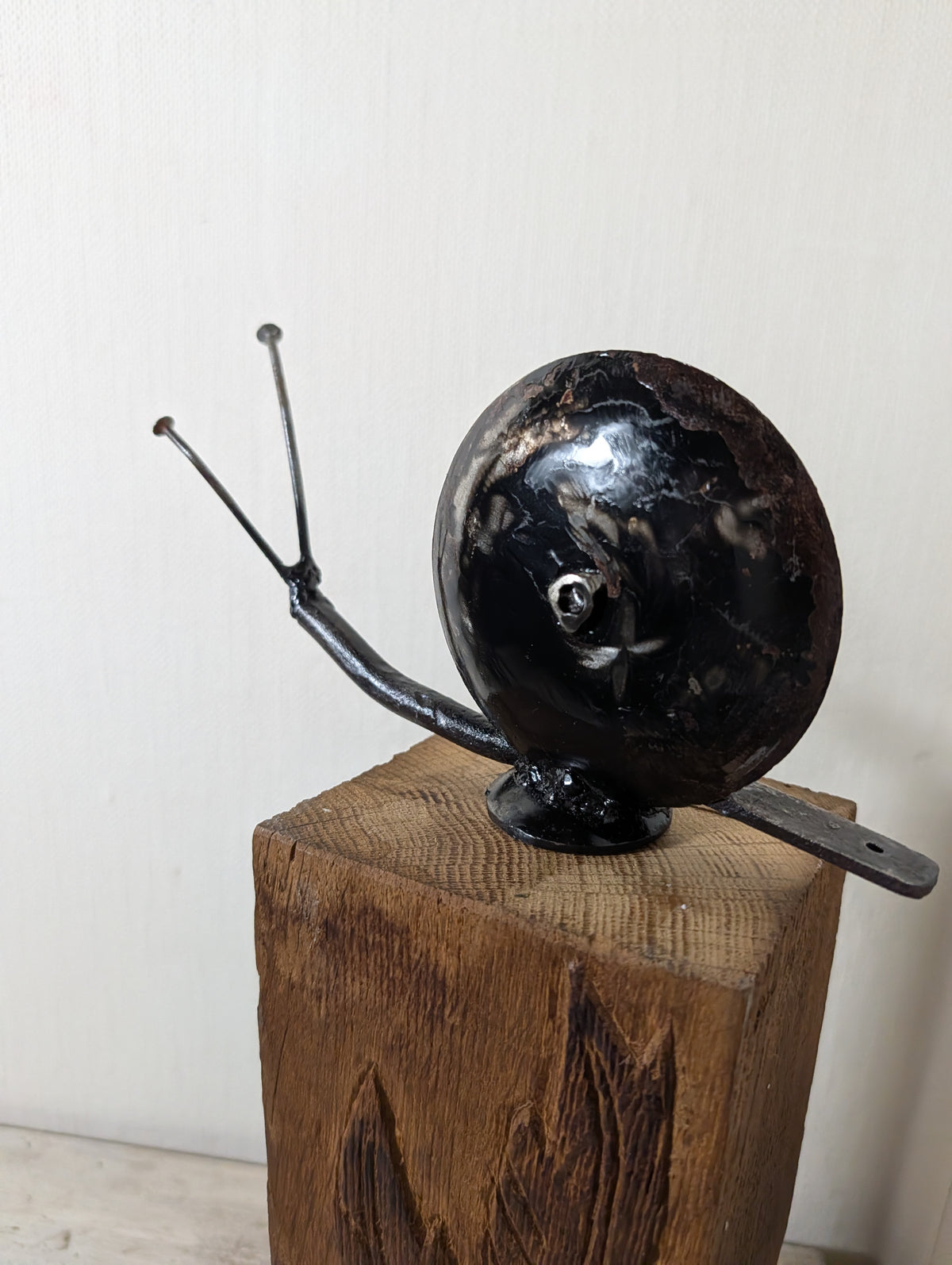 Candleschnecke