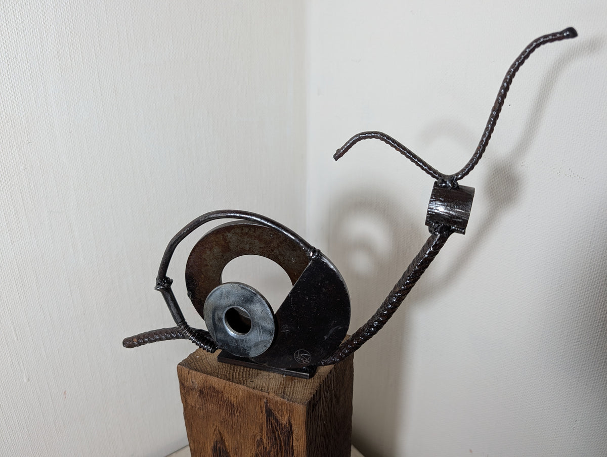 Schnecke Maxi