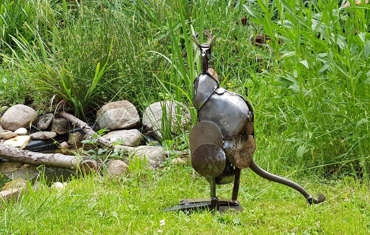 Kängurumutter mit Baby