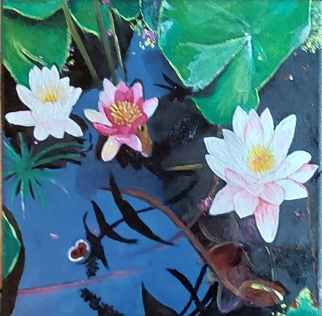 Weiße und rote Seerosen, Trio, Wasserszene im Sommer, 20x20x3,8 cm, Ölgemälde
