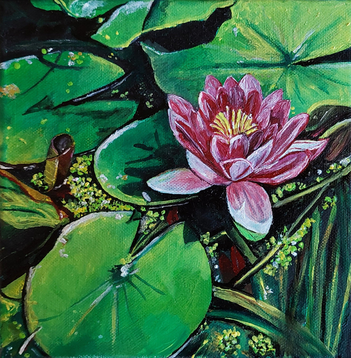 Rote Seerose im Gartenteich zwischen grünen Blättern, 20x20x3,8 cm, Ölgemälde
