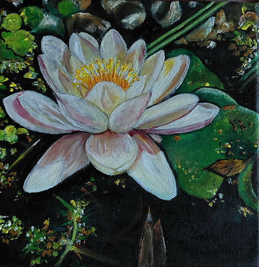 Weiße Seerose, Öl auf Keilrahmen, Wasserszene im Gartenteich, Blume