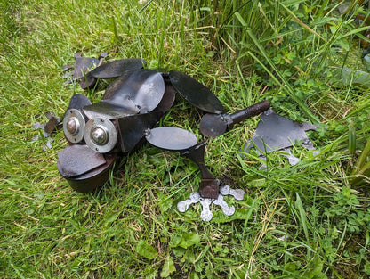 Frosch "Blacky"