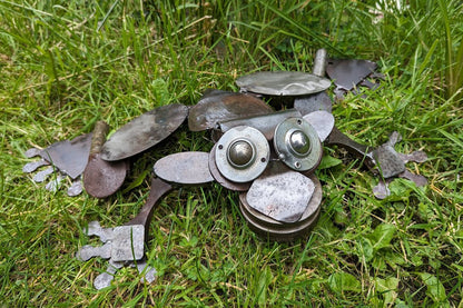 Frosch