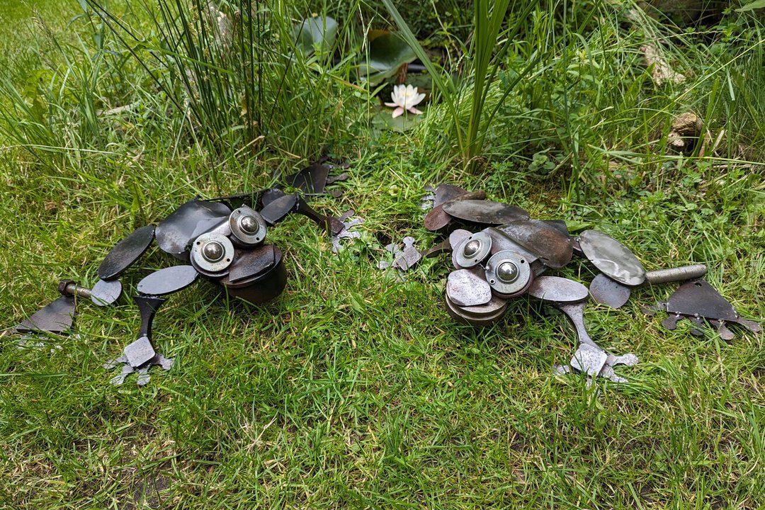 Frosch