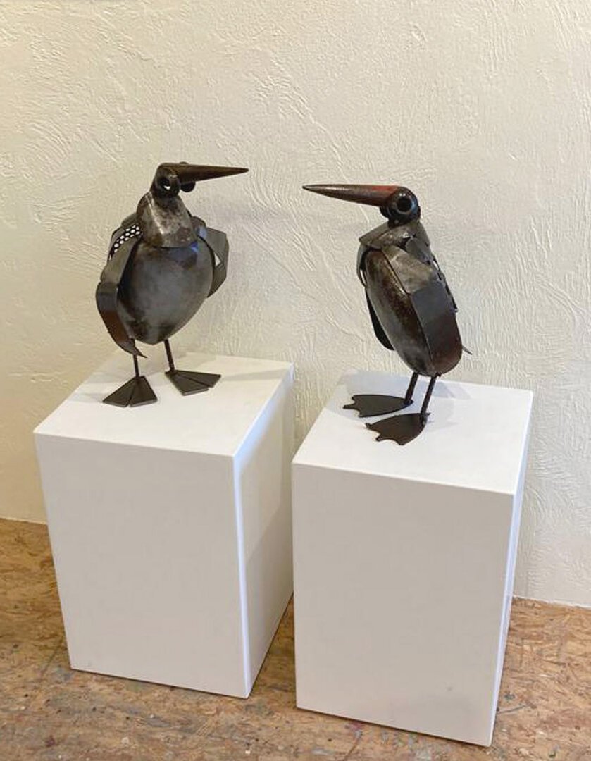 Pinguin