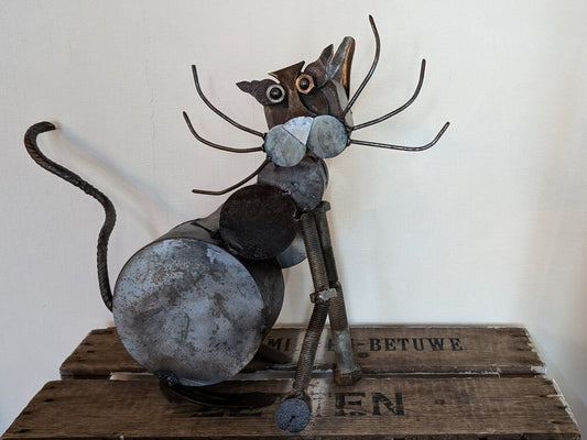 Katze