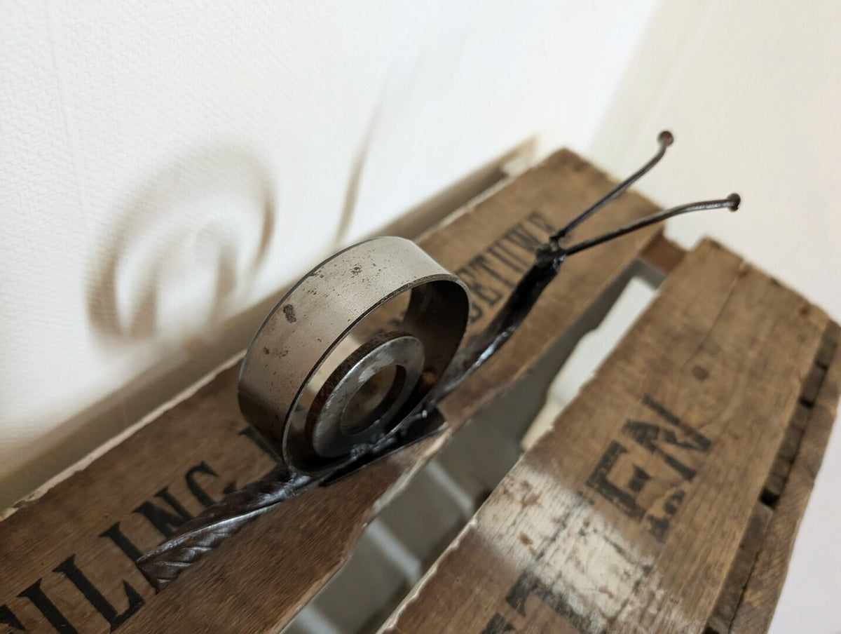 Schnecke „Big Silver“