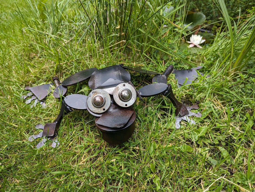Frosch "Blacky"