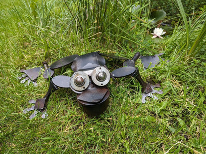 Frosch "Blacky"