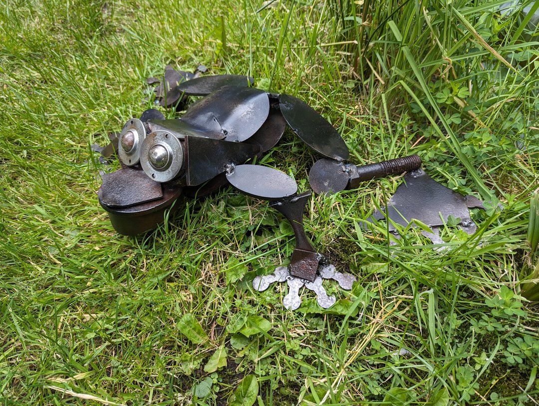 Frosch "Blacky"