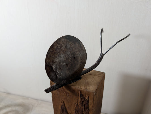 Klingelschnecke