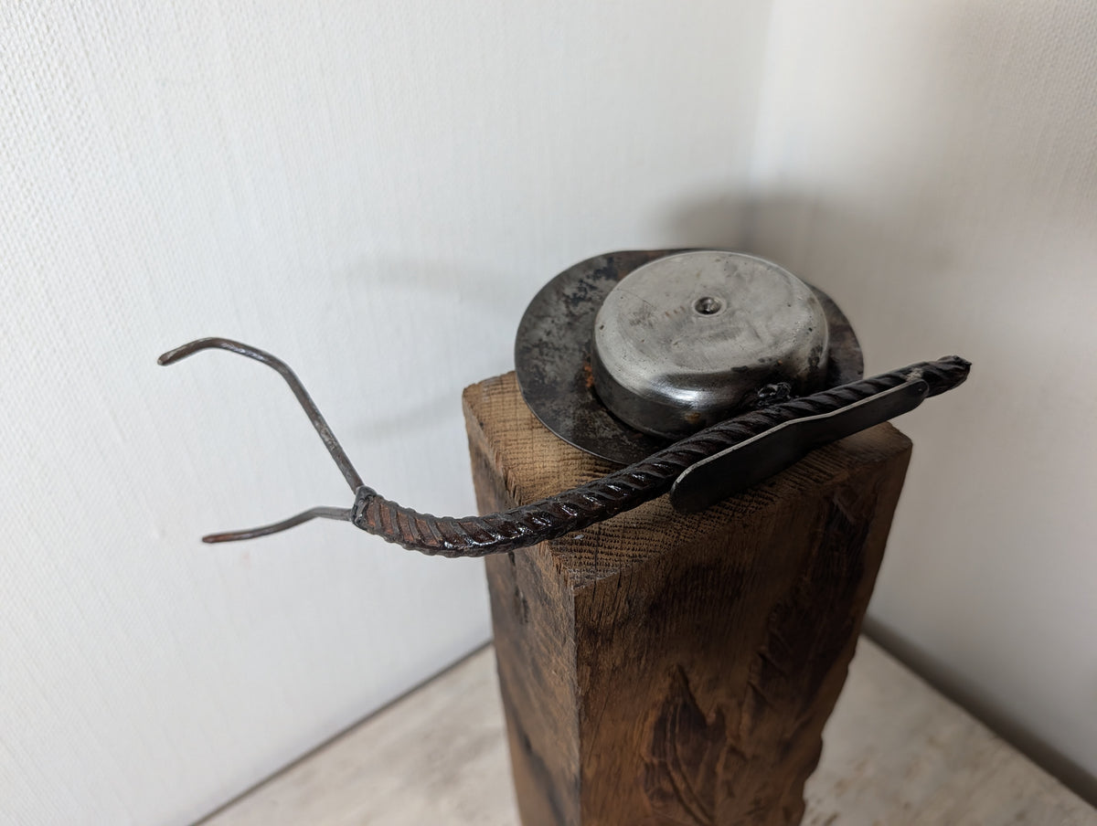 Klingelschnecke