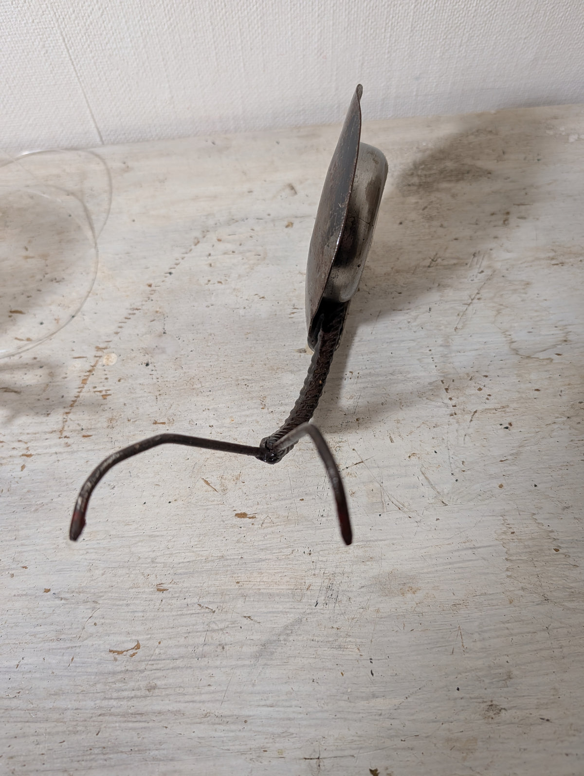 Klingelschnecke