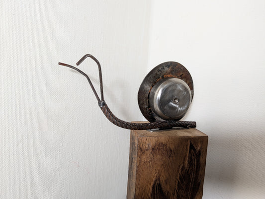 Klingelschnecke