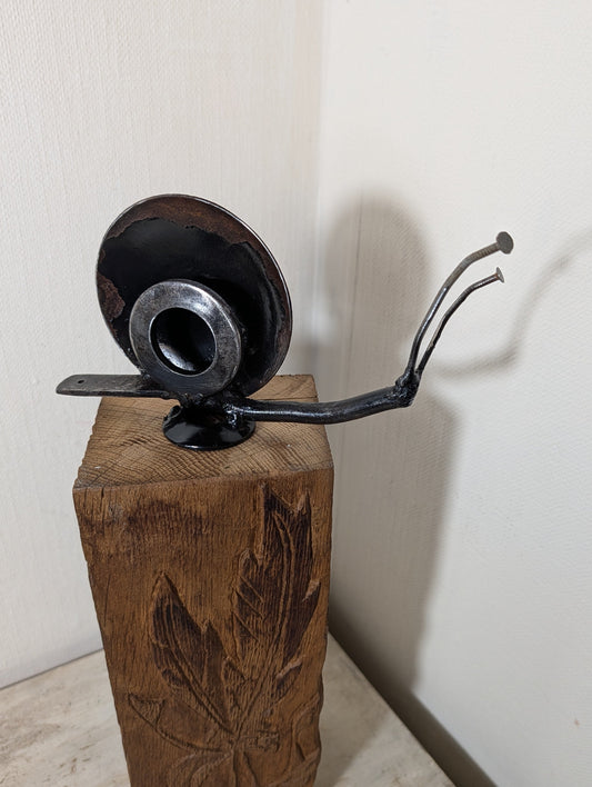 Candleschnecke