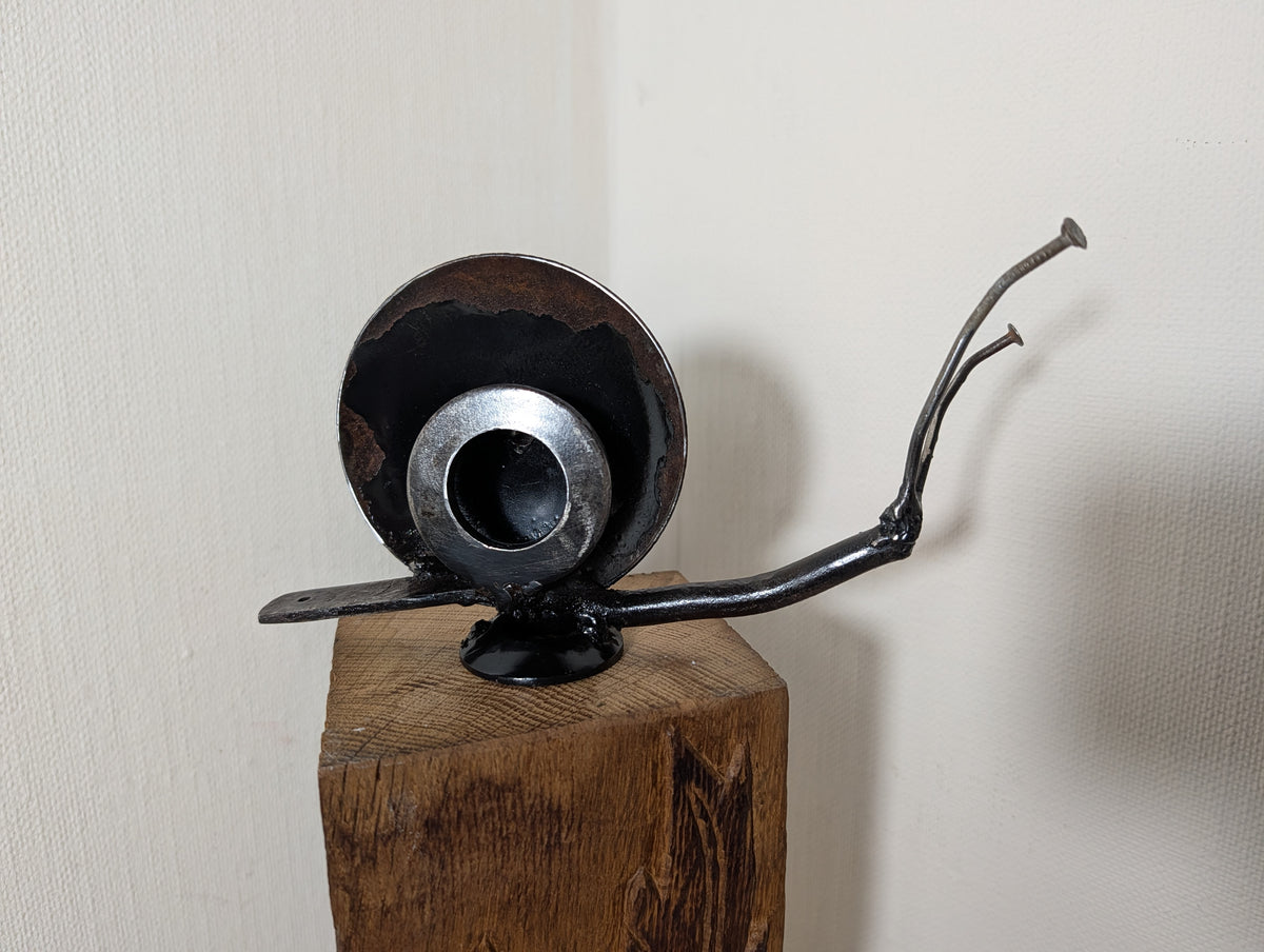 Candleschnecke