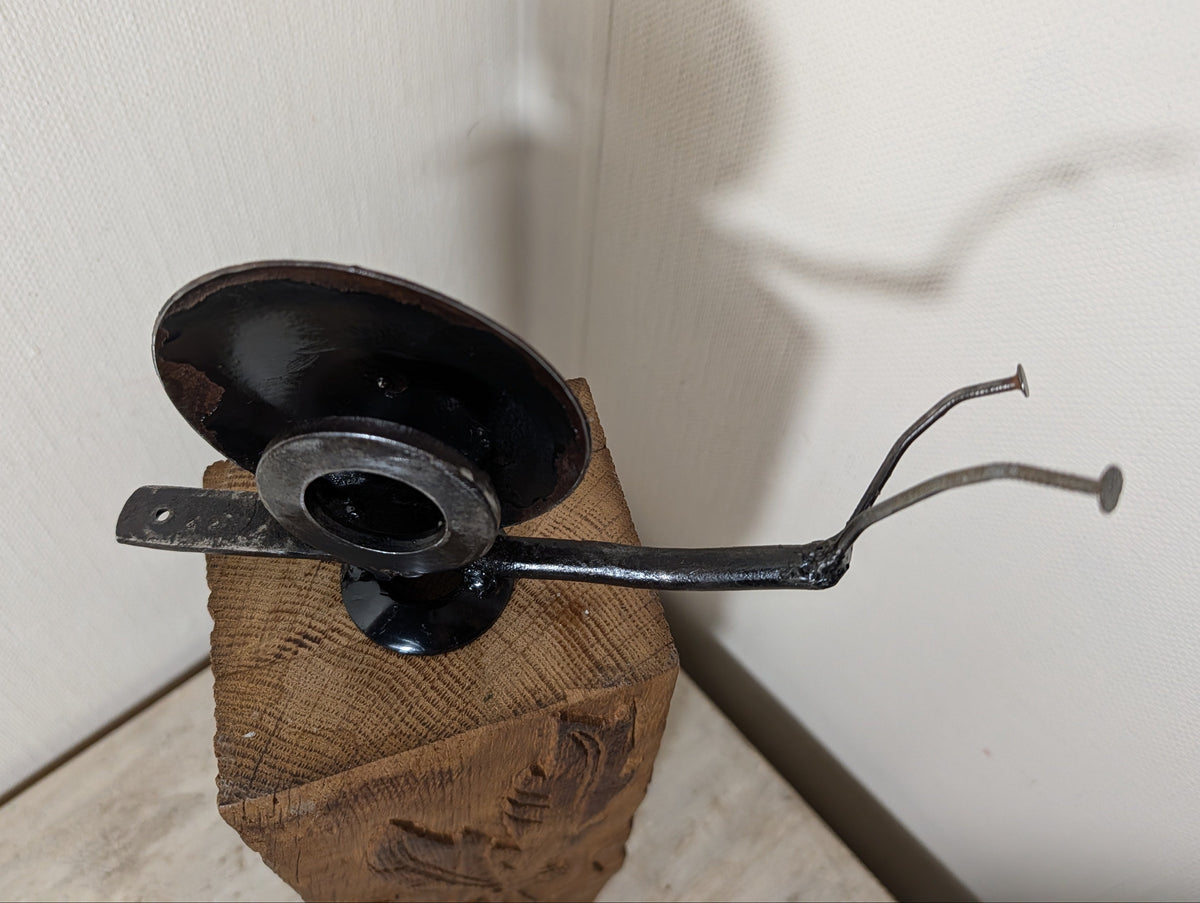 Candleschnecke