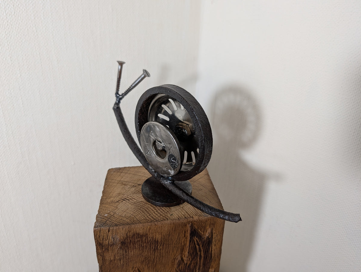 Schnecke Schraubi