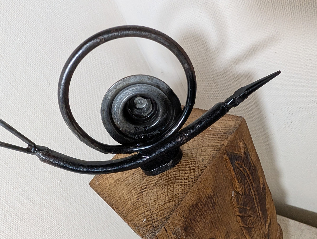 Schnecke Hutgehäuse