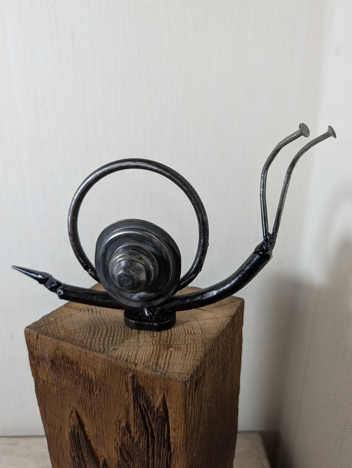 Schnecke Hutgehäuse