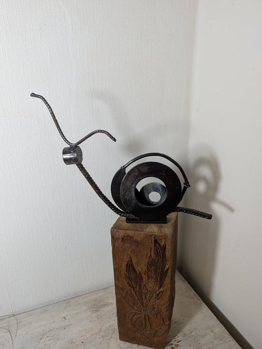 Schnecke Maxi