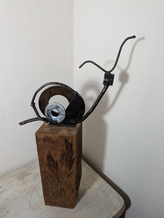 Schnecke Maxi