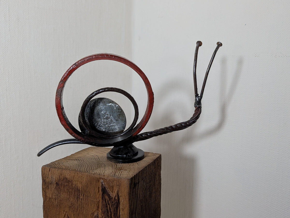 Rote Ringschnecke