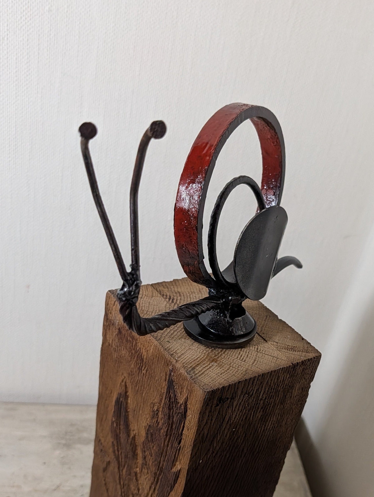 Rote Ringschnecke