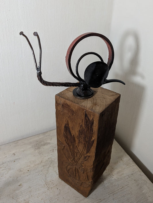 Rote Ringschnecke